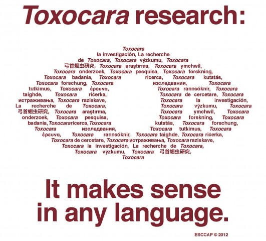 Toxocara eye