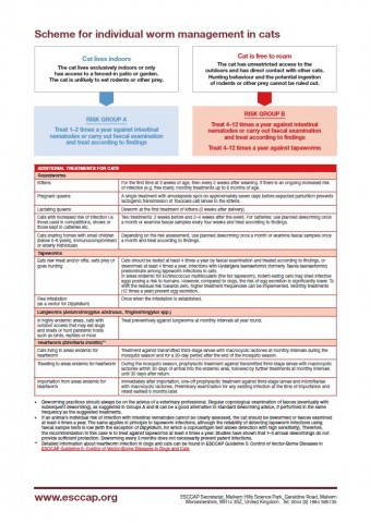 Scheme for individual worm management in cats
