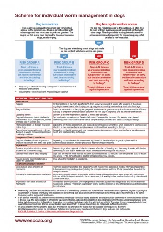 Scheme for individual worm management in dogs