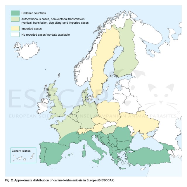 Fig. 1 Approximate distribution of canine leishmaniosis in Europe: