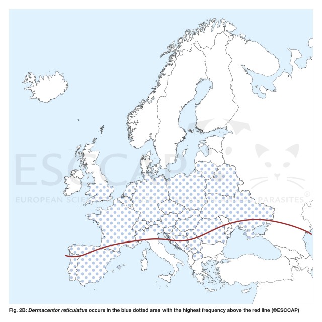 Figure 2b: Dermacentor reticulatus occurs in the blue dotted area with the highest frequency above the red line