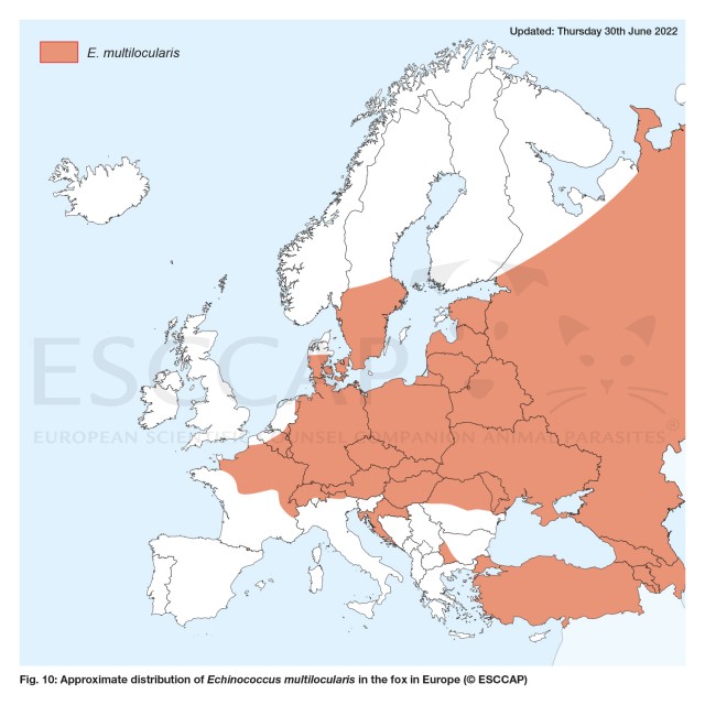 Approximate distribution of Echinococcus multilocularis in the fox in Europe (© ESCCAP)