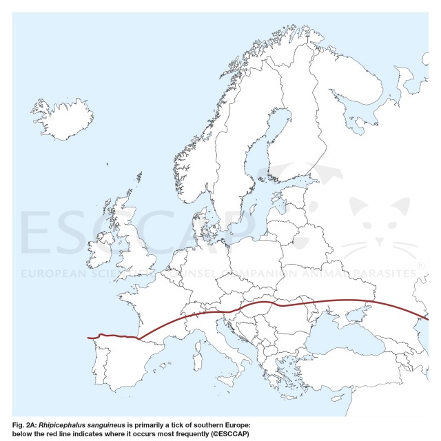 Figure 2a: Rhipicephalus sanguineus is primarily a tick of southern Europe: below the red line indicates where it occurs most frequently